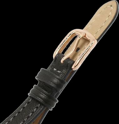Montre Coach 14504027 femme détail bracelet cuir
