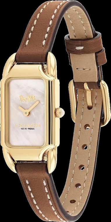 Montre Coach 14504028 femme vue de profil