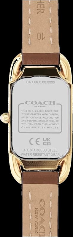 Montre Coach 14504028 femme détail cadran nacre