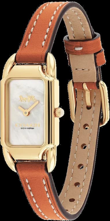 Montre Coach 14504029 femme vue de profil