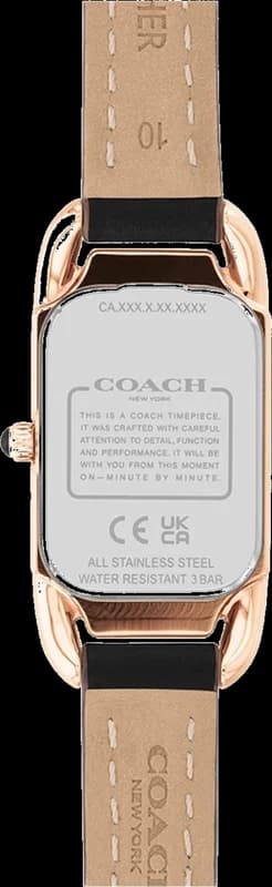 Montre Coach 14504068 femme détail cadran vert