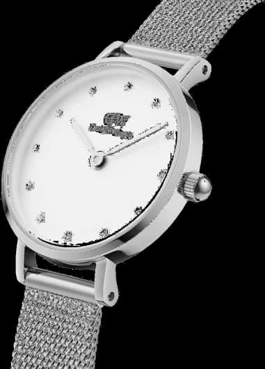 Montre Daniel Wellington DW00100602 femme vue de profil