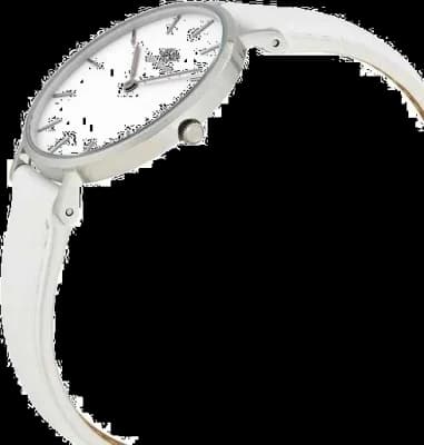 Montre Daniel Wellington DW00100190 femme vue de profil