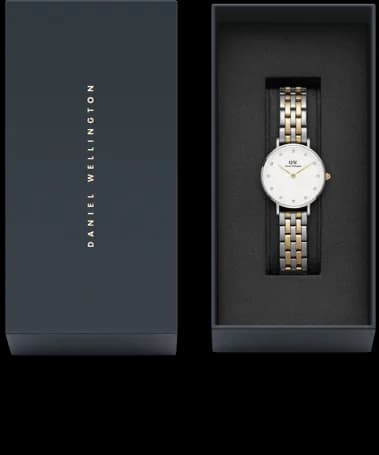 Montre Femme Daniel Wellington Petite Lumine 5-link Two-tone DW00100616 cadran blanc vue 4