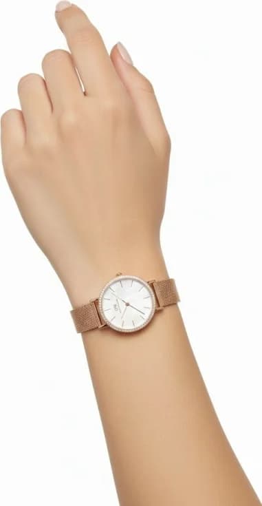 Montre Daniel Wellington DW00100673 femme vue de profil