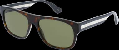Gucci Web GG0341S sunglasses in acetate vue 2