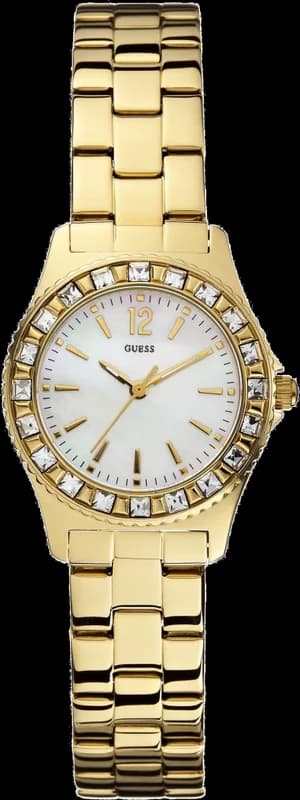 Montre Femme Guess Sport Steel W0025L2