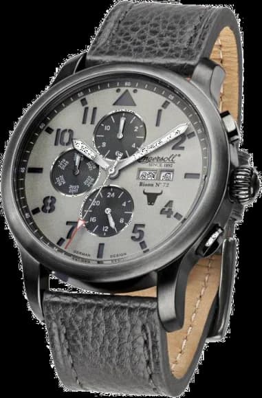 Montre Homme Ingersoll Bison IN1221GUGY Gris