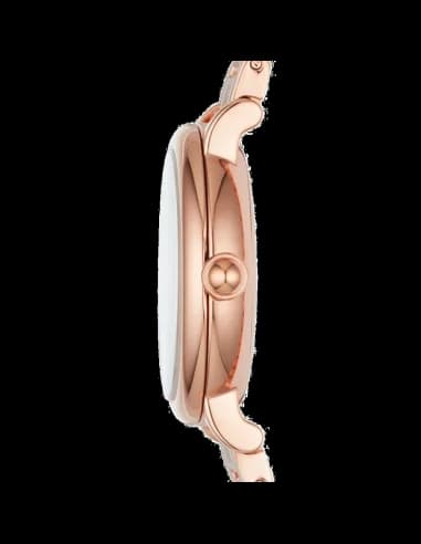 Montre Femme Marc Jacobs Classic MJ3592