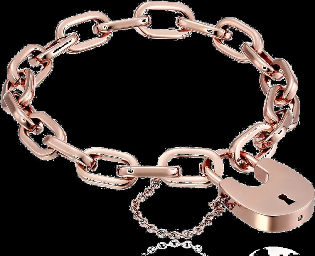 Bracelet Michael Kors MKJ4629791 breloque cadenas vue 2