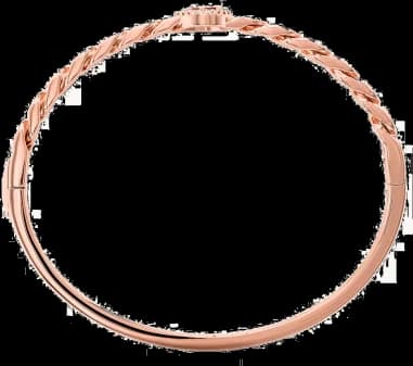 Montre Michael Kors MKC1381AN791M femme vue de profil