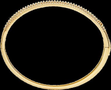Montre Michael Kors MKC1636AN710 femme vue de profil