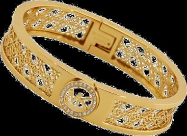 Bracelet Michael Kors MKJ4270710 couleur or logo MK