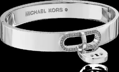 Bracelet Michael Kors MKJ4611040 couleur argent