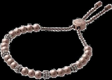 Femme Bracelet Michael Kors MKJ5894798