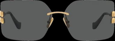 Montre Miu Miu MU 54YS femme détail bracelet