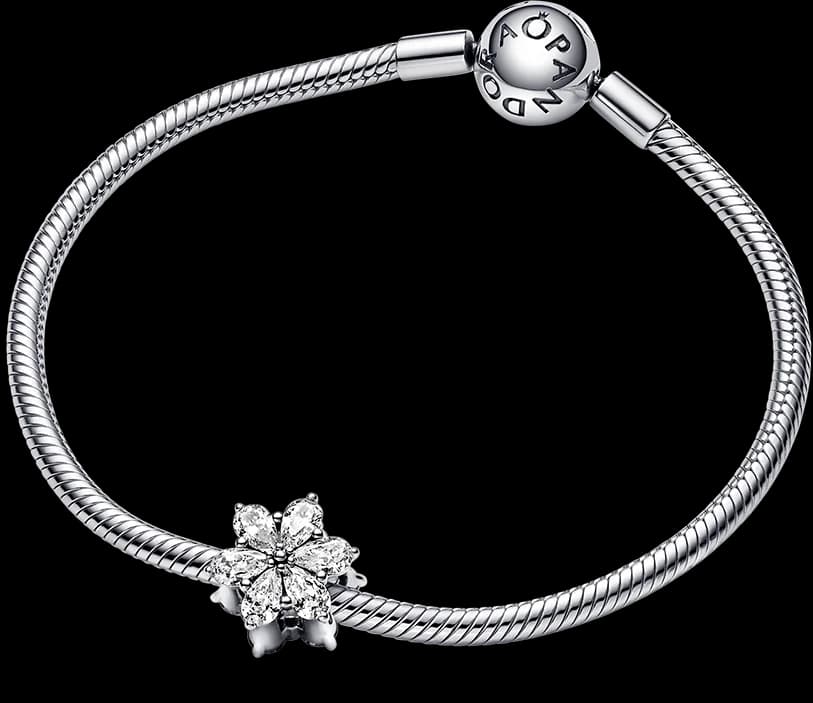 Charm Pandora Herbier Scintillant Timeless 792623C01 argent 925/1000 vue 4