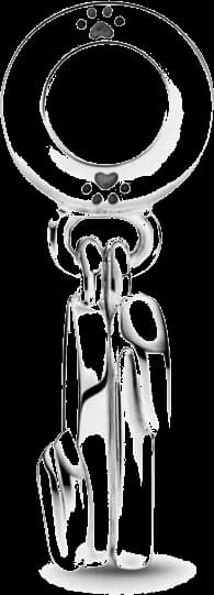Montre Pandora 799327C01 femme détail cadran