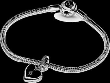 Montre Pandora 799537C01 femme détail bracelet