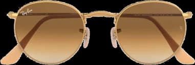 Ray-Ban Round Metal Sunglasses RB3447 112/51 Round Matte Gold Brown vue 2