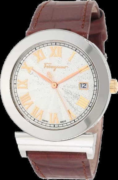Montre Homme Salvatore Ferragamo F71LBQ9902S497 Marron
