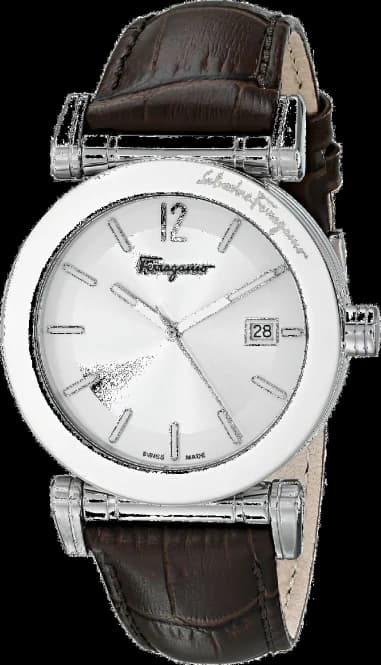 Montre Homme Salvatore Ferragamo FP1940014 Marron