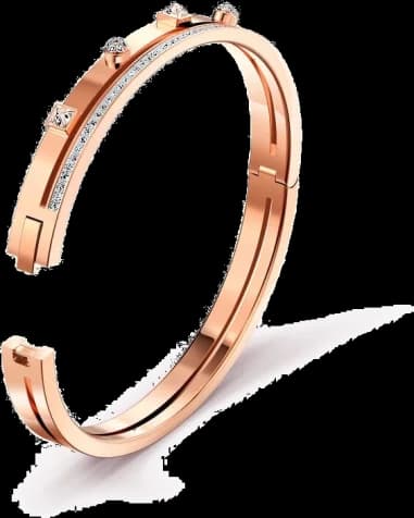 Montre Swarovski 5555746 femme vue de profil