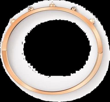 Montre Swarovski 5555746 femme détail cadran