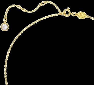 Montre Swarovski 5650576 femme détail cadran