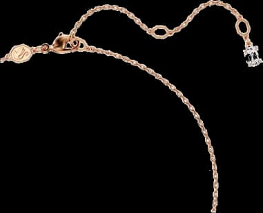 Montre Swarovski 5683580 femme détail cadran