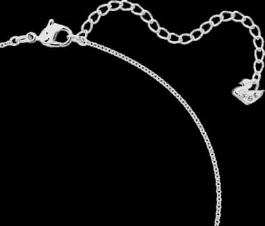 Montre Swarovski 5642886 femme détail cadran
