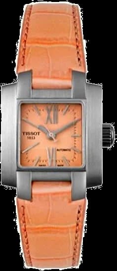 Montre Femme Tissot T60124993 T-Trend