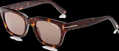 Lunettes de soleil Tom Ford Snowdon TF0237