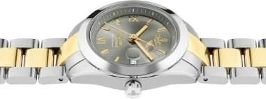 Montre Vivienne Westwood VV292GYSG femme détail bracelet acier