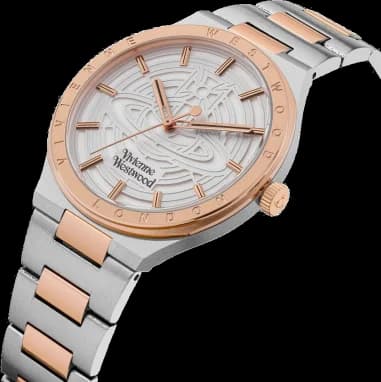 Montre Vivienne Westwood VV249SLSR homme vue de profil